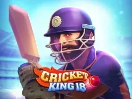 คริกเก็ต คิงก์18 screenshot