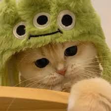 อัยยวัฒน์ ศรีวัฒนประภา avatar