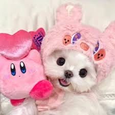 วิชัย ศรีวัฒนประภา avatar